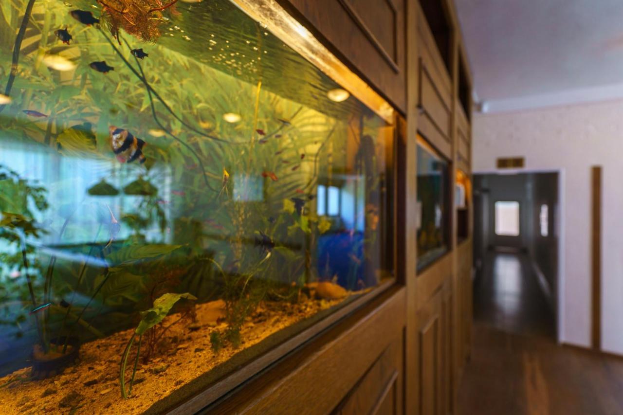 Hotel Hladina Nebrich Dış mekan fotoğraf